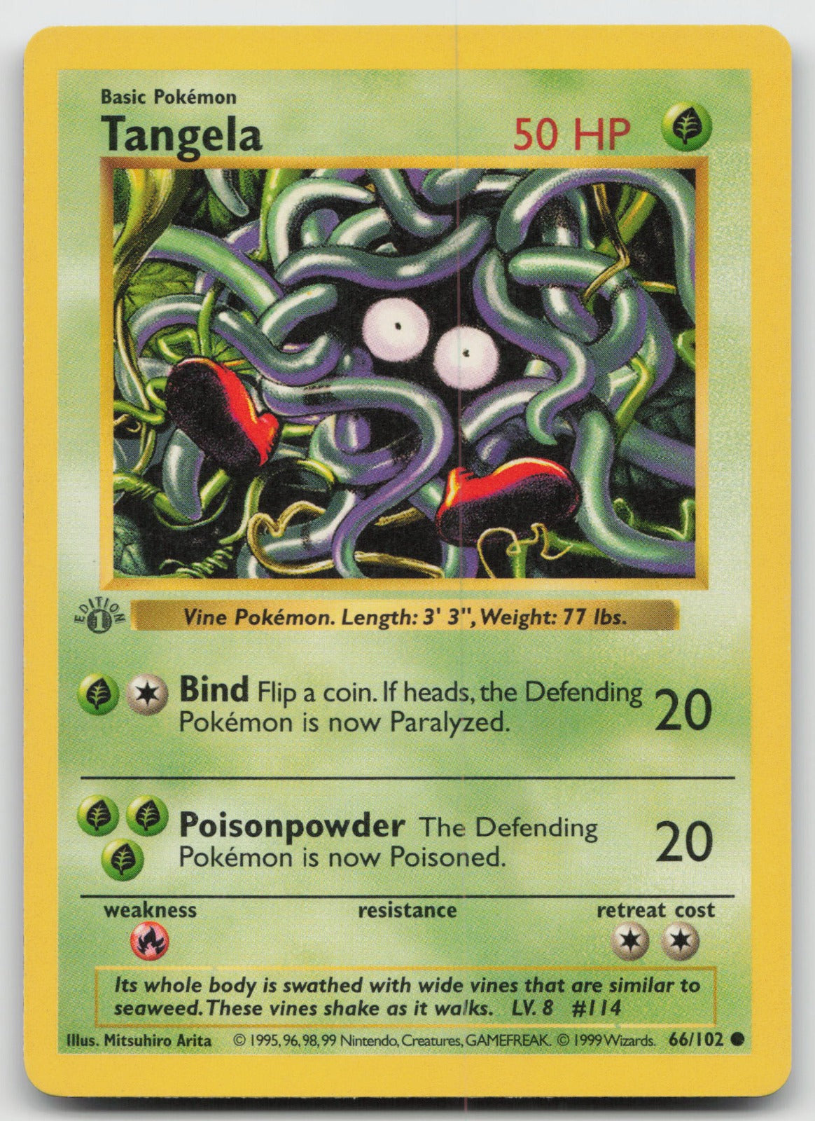 Tangela Common 1st Edition Base Set (Shadowless) 66/102 MP