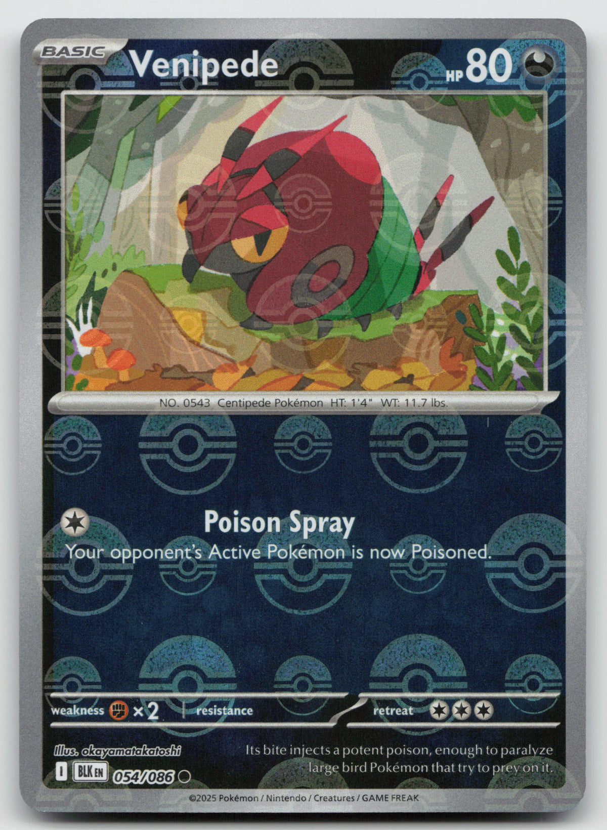 Venipede (Poke Ball Pattern) Common Holo SV: Black Bolt 054/086 NM