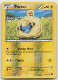Mareep Common Reverse Holo XY - Steam Siege 38/114 LP