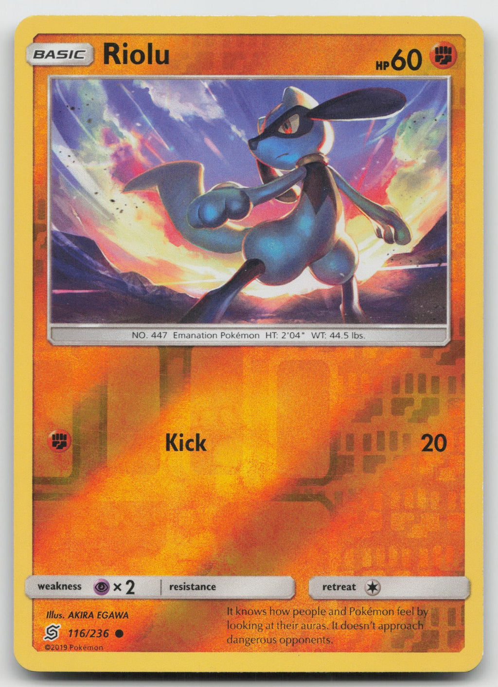 Riolu Reverse Holo Common SM - Unified Minds 116/236 NM