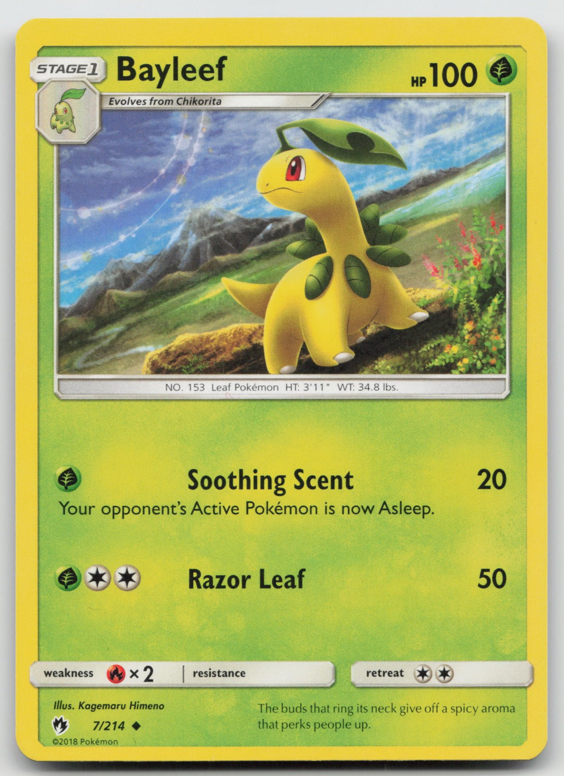 Bayleef Uncommon SM - Lost Thunder 7/214 NM