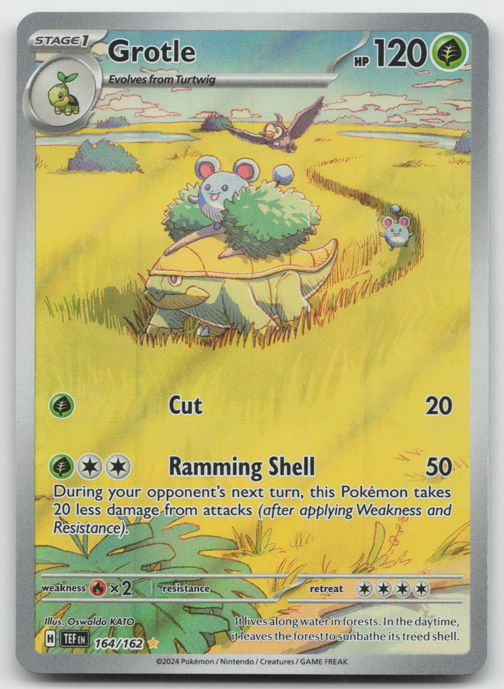 Grotle Holo Illustration Rare SV05: Temporal Forces 164/162 NM
