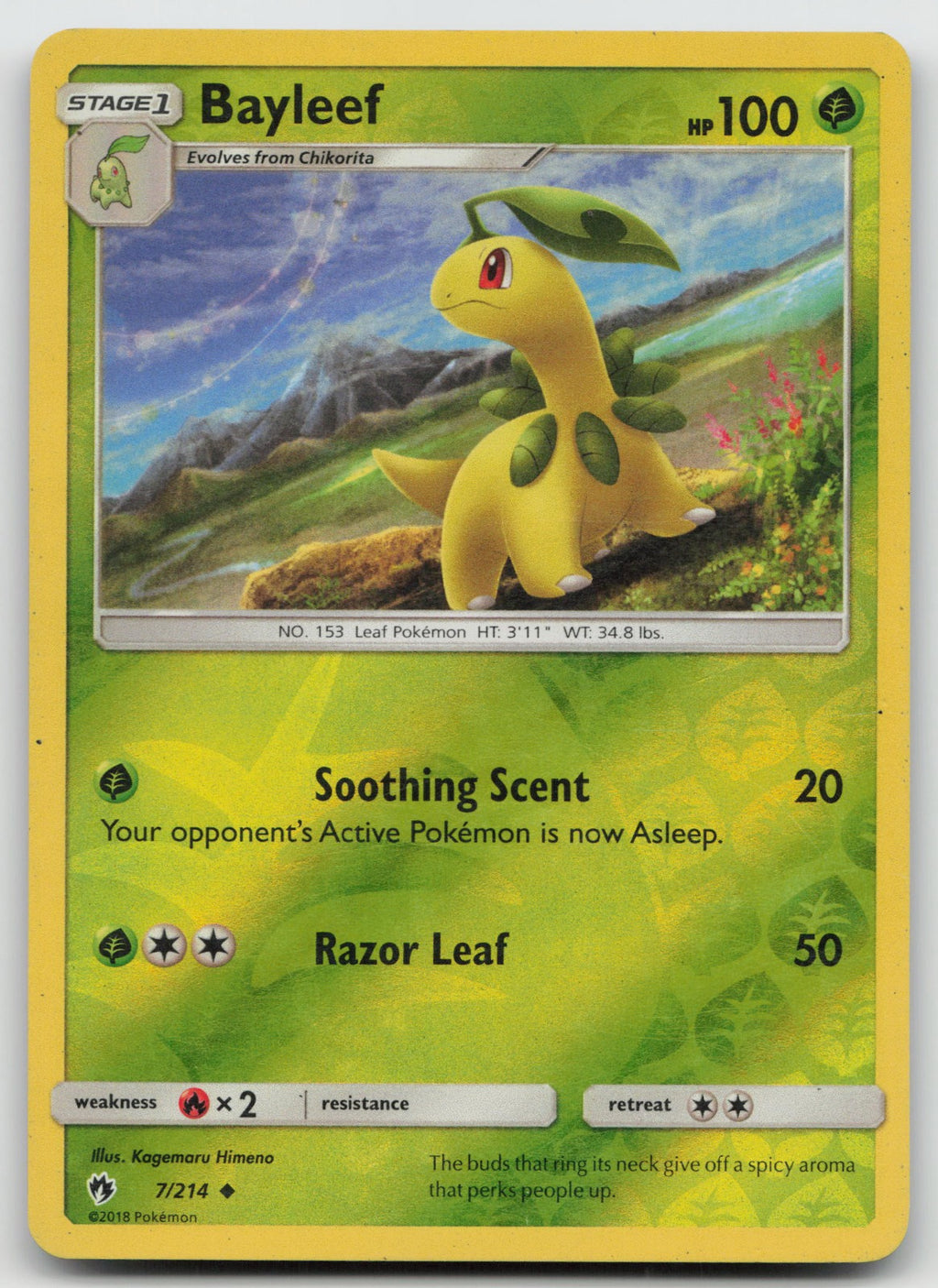 Bayleef Reverse Holo Uncommon SM - Lost Thunder 7/214 LP
