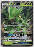 Sceptile GX Holo Double Rare SM7b: Fairy Rise 005/050 NM