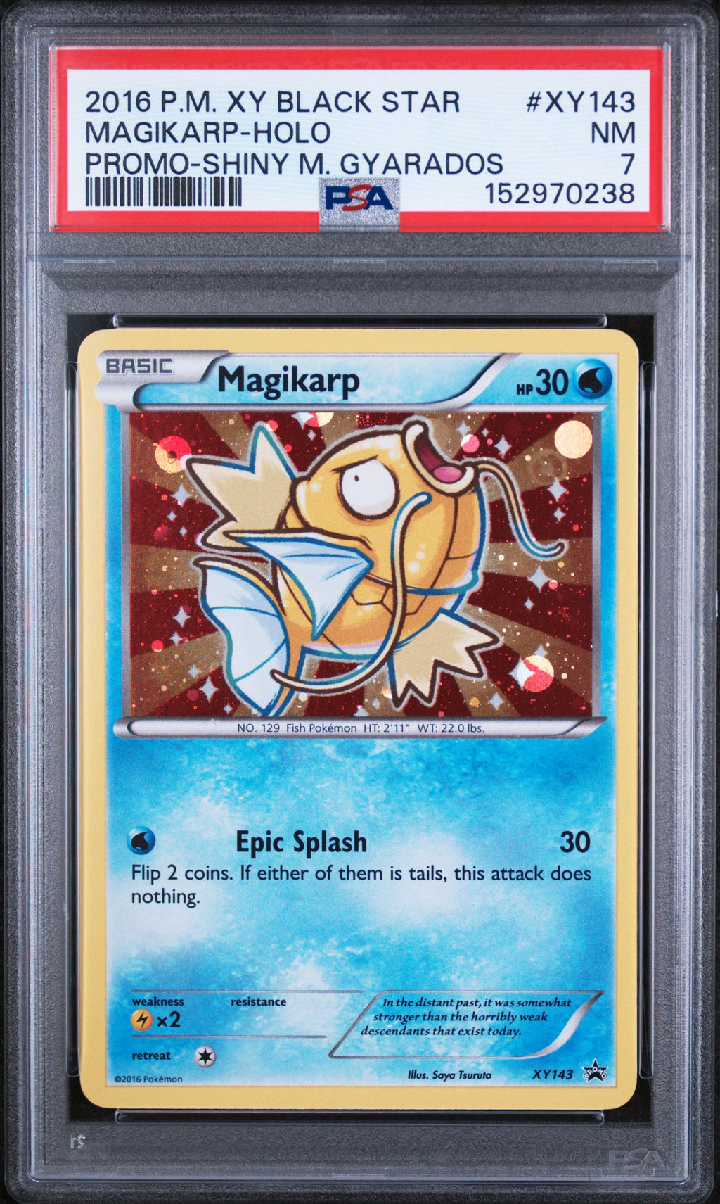 Magikarp Holo Promo-Shiny M. Gyarados Pokemon Black Star Promo XY143 PSA 7