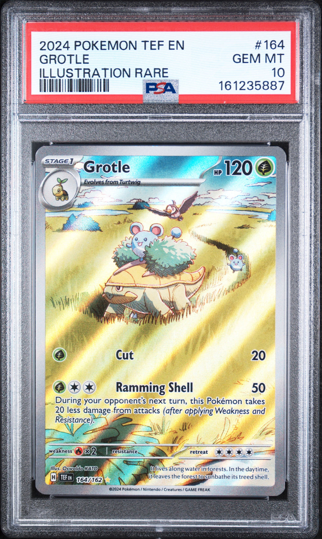 Grotle Illustration Rare Pokemon Tef En-Temporal Forces 164/162 PSA 10