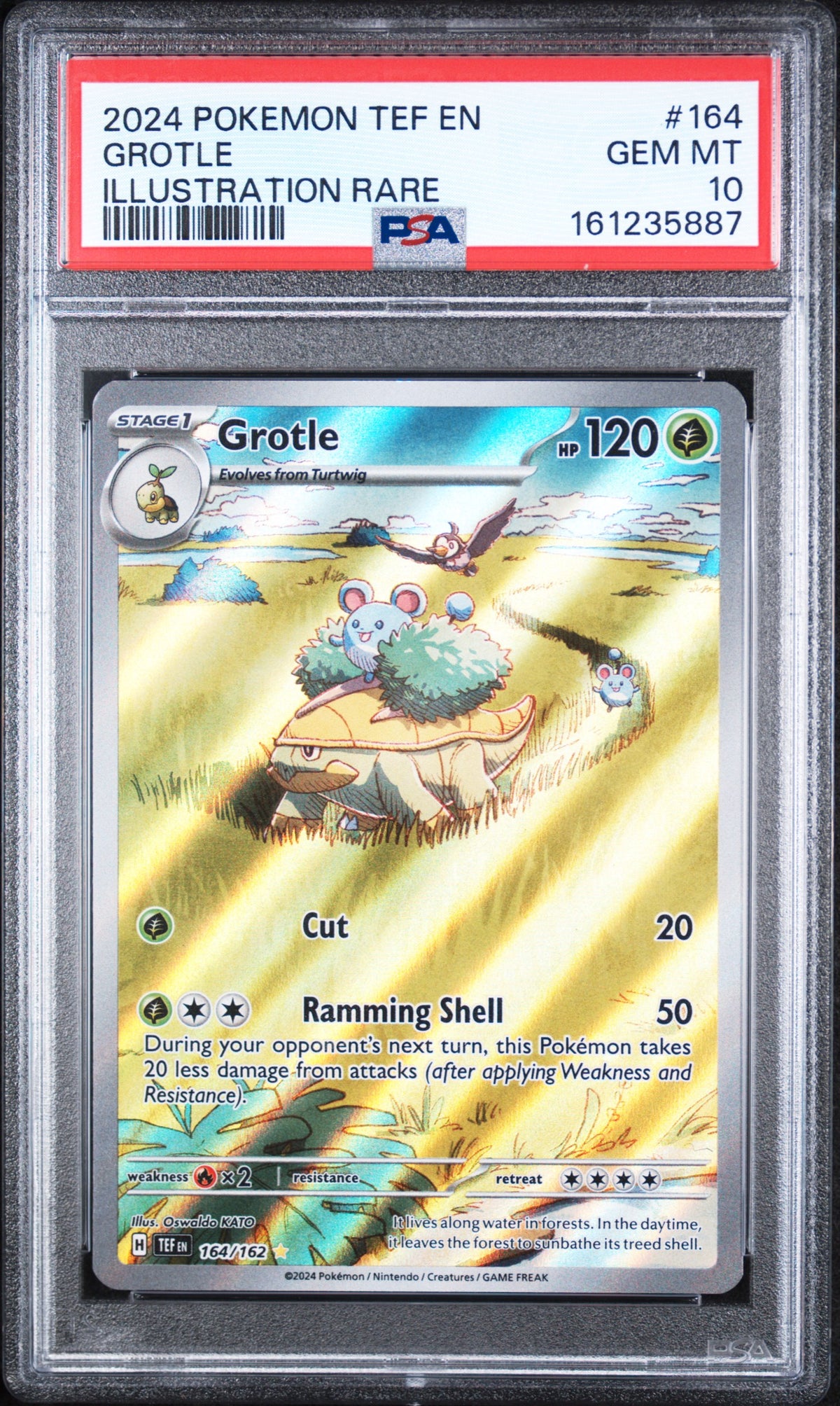 Grotle Illustration Rare Pokemon Tef En-Temporal Forces 164/162 PSA 10